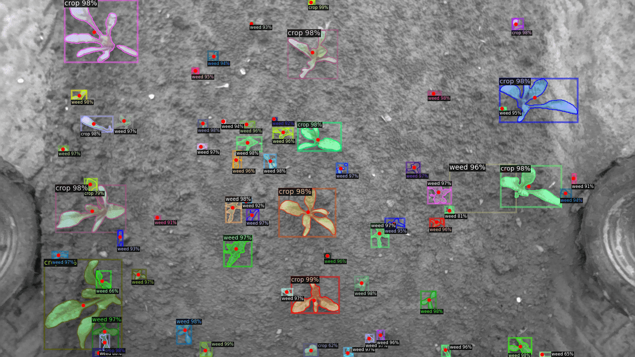 La même capture avec la superposition de détection IA WeSee-Rx à l'échelle de la plante.