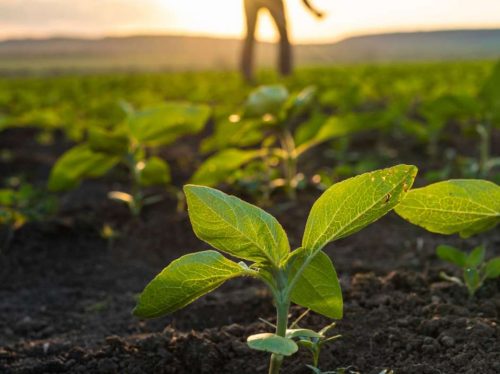 Screenshot 2025-05-03 094416 Screenshot 2025-05-03 094416